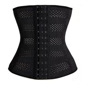 Waist trainer